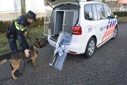 Wie weet meer over beschoten auto in Dordrecht?