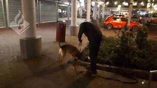 Man en vrouw zwaargewond na schietpartij; politie zoekt getuigen