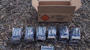 Man (28) slaapt niet meer naast bijna 100 Cobra's