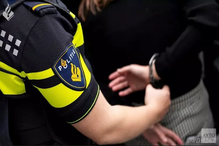 Verdachte treinsteekincident aangehouden