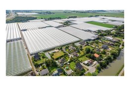 Zuid-Holland zet steviger in op weerbaarheid tegen ondermijning in het buitengebied