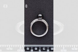 Gezocht eigenaar sieraden omgeving Dordrecht