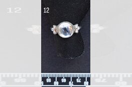 Gezocht eigenaar sieraden omgeving Dordrecht