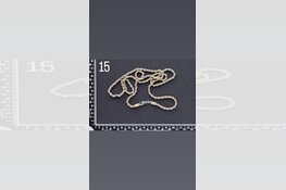 Gezocht eigenaar sieraden omgeving Dordrecht