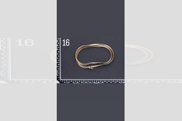 Gezocht eigenaar sieraden omgeving Dordrecht