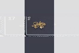 Gezocht eigenaar sieraden omgeving Dordrecht