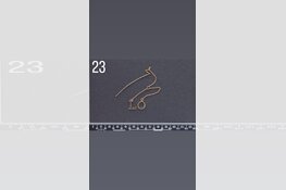 Gezocht eigenaar sieraden omgeving Dordrecht