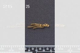 Gezocht eigenaar sieraden omgeving Dordrecht