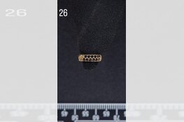 Gezocht eigenaar sieraden omgeving Dordrecht