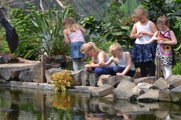 Op zoek naar een super leuk uitje? Kom gezellig minigolfen of wandel tussen de mooiste vlinders in Vlindorado