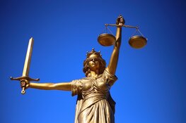 Geen vervolging agenten die met geweld Dordtenaar arresteerden