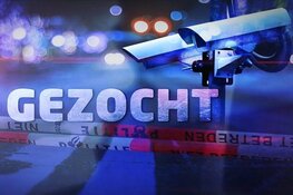 Politie zoekt belangrijke getuigen zedenincident