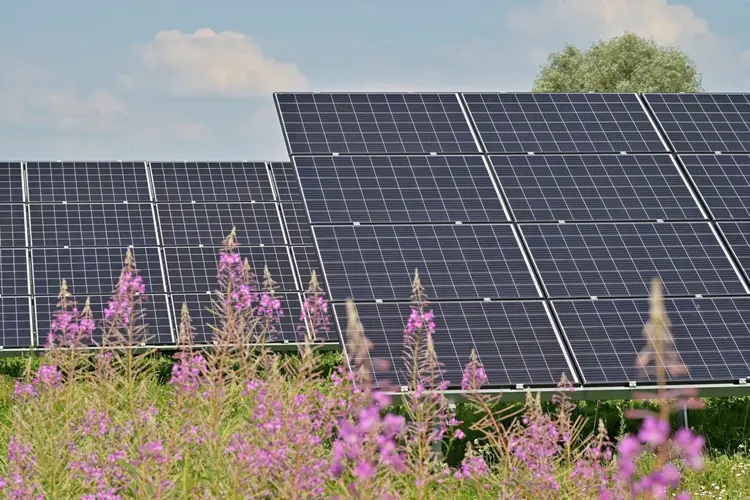 Zijn zonnepanelen nog interessant zonder salderingsregeling?