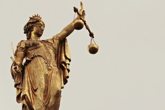 Veroordeling na seksueel misbruik minderjarige familieleden en verspreiding kindermisbruikmateriaal