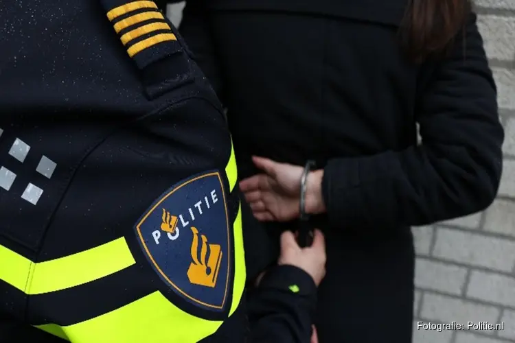 Man aangehouden met BTPG op de Brouwersdijk