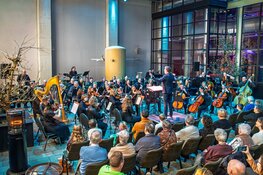 Beestenboel in Concert