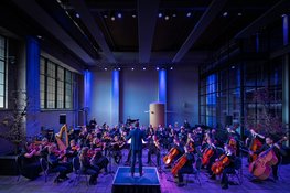 Beestenboel in Concert