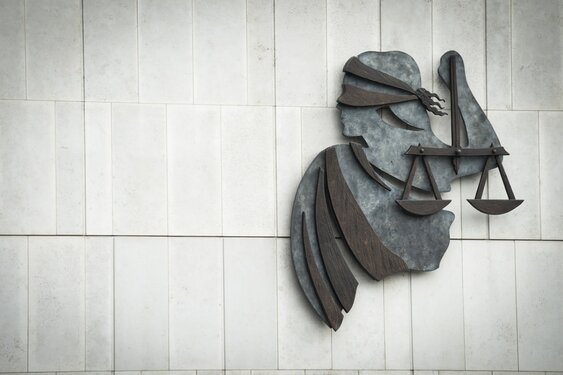 Levenslang geëist in hoger beroep tegen man die ex-partner neerschoot en haar moeder doodde