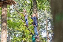 Klimbos Dordrecht viert vijfjarig bestaan met vernieuwde klimroute