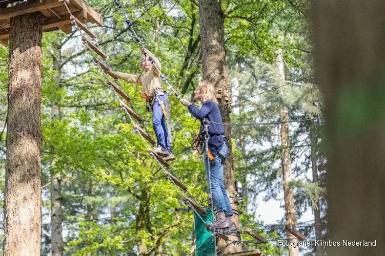 Klimbos Dordrecht viert vijfjarig bestaan met vernieuwde klimroute