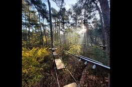 Klimbos Dordrecht viert vijfjarig bestaan met vernieuwde klimroute