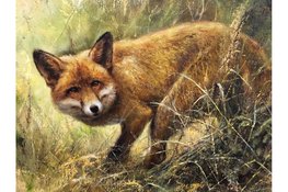 De musea op Tiengemeten zijn weer geopend!