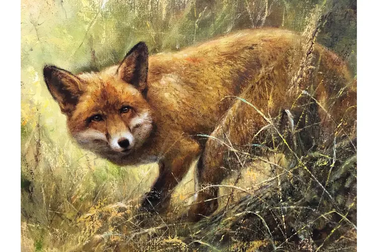 De musea op Tiengemeten zijn weer geopend!