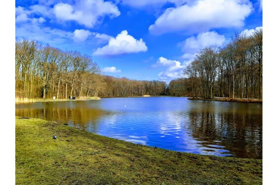 Omgevingsbeleid 2025: Provincie Zuid-Holland maakt scherpe keuzes voor de toekomst