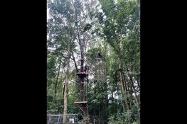 Klimbos Dordrecht breidt uit met spectaculaire grijze route