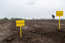HAK doet smaaktest met vergeten peulvruchten tijdens Bean There Festival