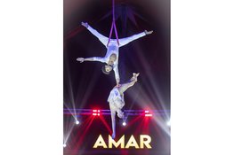 Wintercircus Royal Dordrecht presenteert spectaculaire internationale topvoorstelling voor kerstvakantie 2026/2027